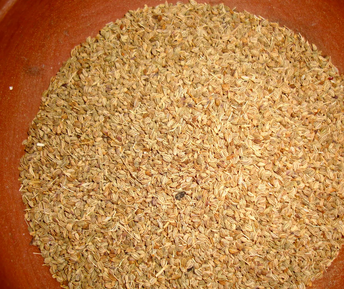 Close-up view of Ajowan seeds