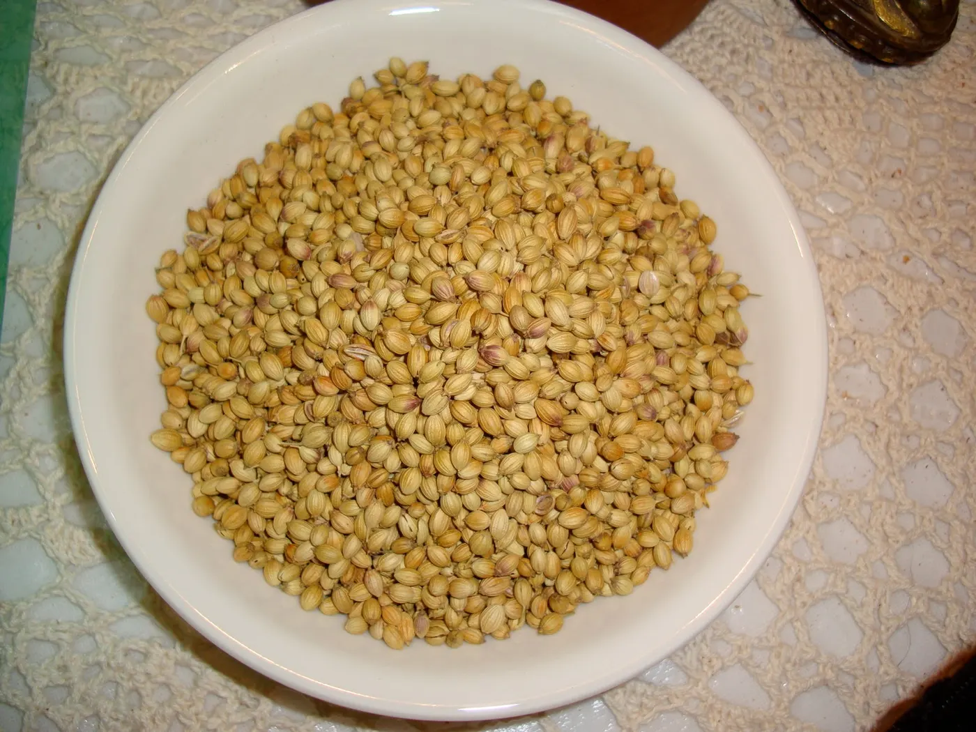 Coriander Seeds - Dhania ko Geda - (धनियाँ)