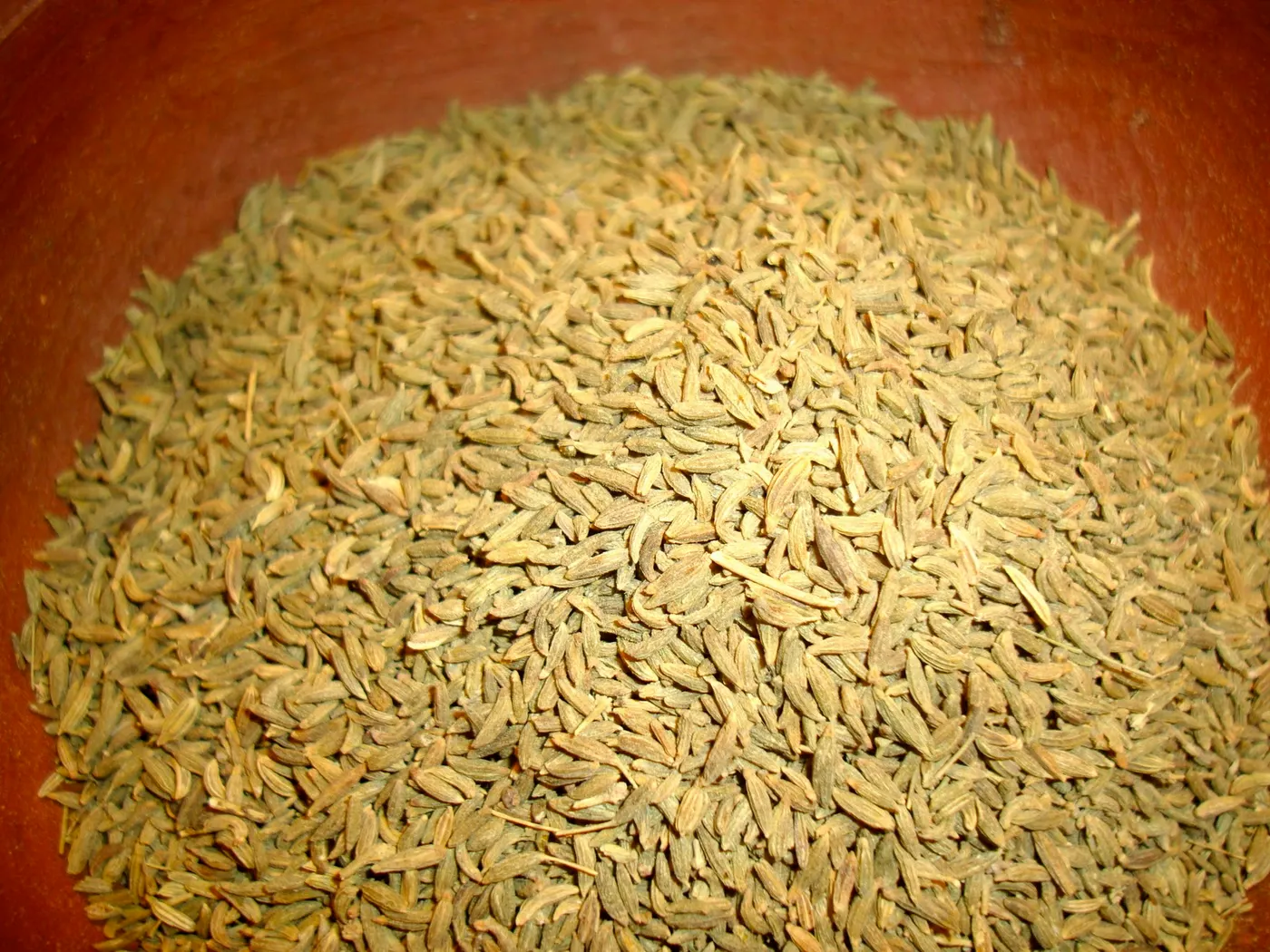 Close-up look of Fennel Seeds