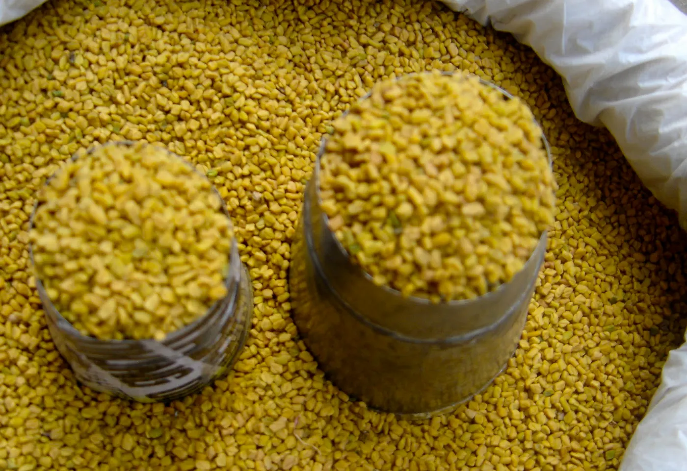 Fenugreek Seeds - Methi ko Geda - (मेथी)