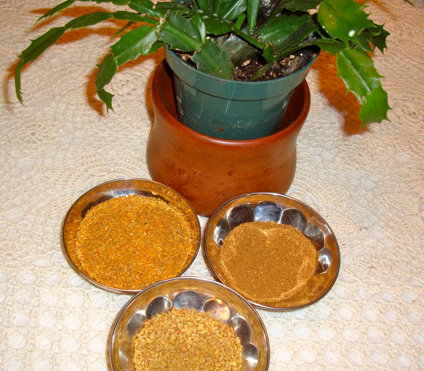 Fenugreek Seeds - Methi ko Geda - (मेथी)