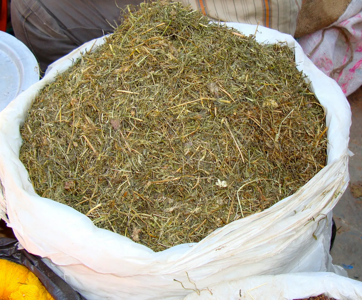 Himalayan Herb Jimbu - dried leaves of a local onion species - (जिम्बु)