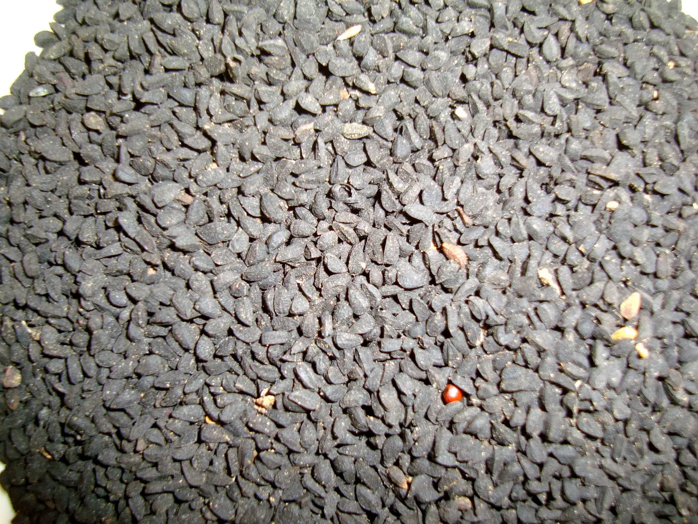 Close-up look of Nigella seeds.
