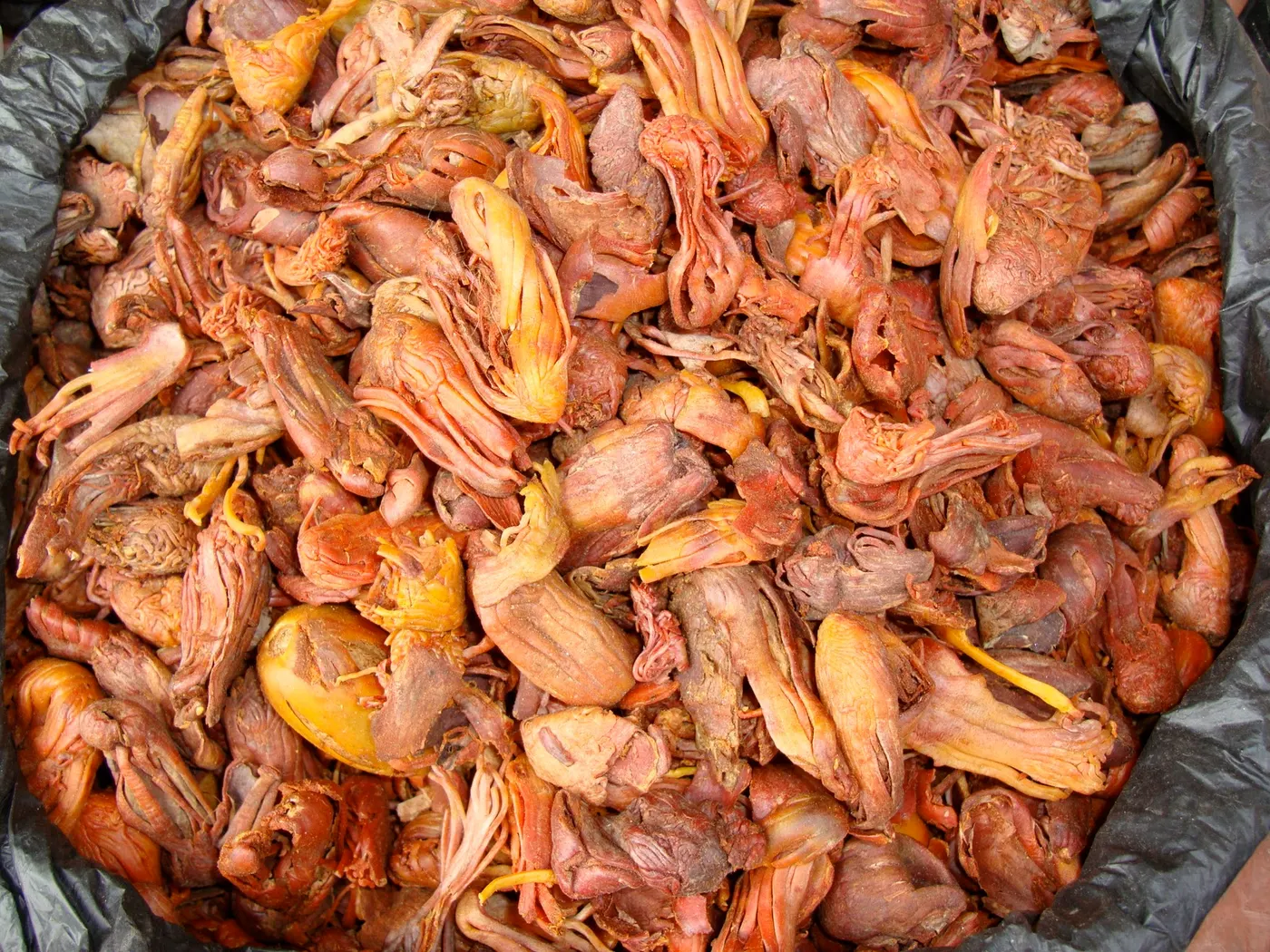 Mace (javitri) is the outer lacy covering that surrounds the hard nutmeg seeds. Both spices have delicate flavor. It is available whole (above picture) or in grounded form.
