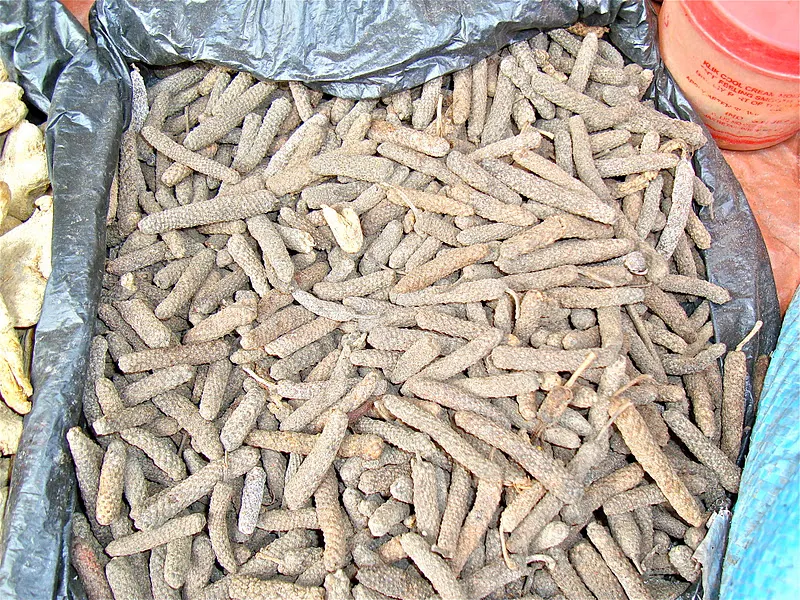 Dried long pepper from Nepal spice market. Nepalese call it पिप्ला Pippla. For more information for this long pepper check Gernot Katzer spice page.