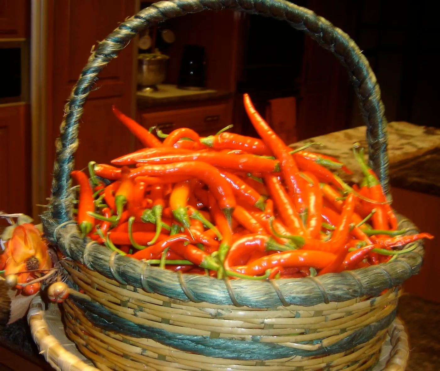 The extremely hot and flavorful chili was grown in our home garden.