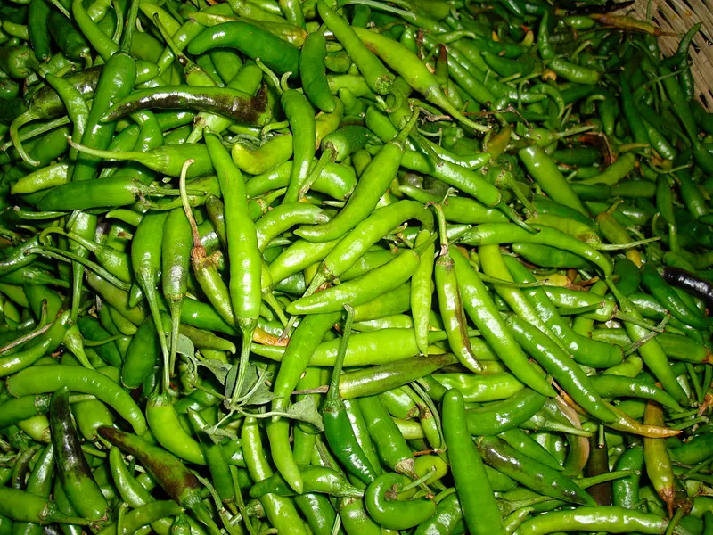 Flavorful fresh green chilies