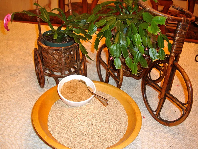 Sesame seeds - dry-roasted ground and whole seeds