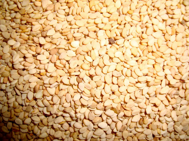 Close-up look of light brown sesame seeds