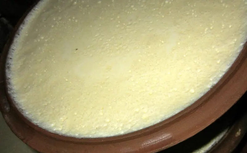 Special occasion Juju Dhau - this special order yogurt is made with added khuwa, (special thickened milk) sugar, and cardamom powder.