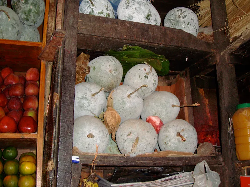 Kubhindo - Ash Gourd (कुभिन्डो)