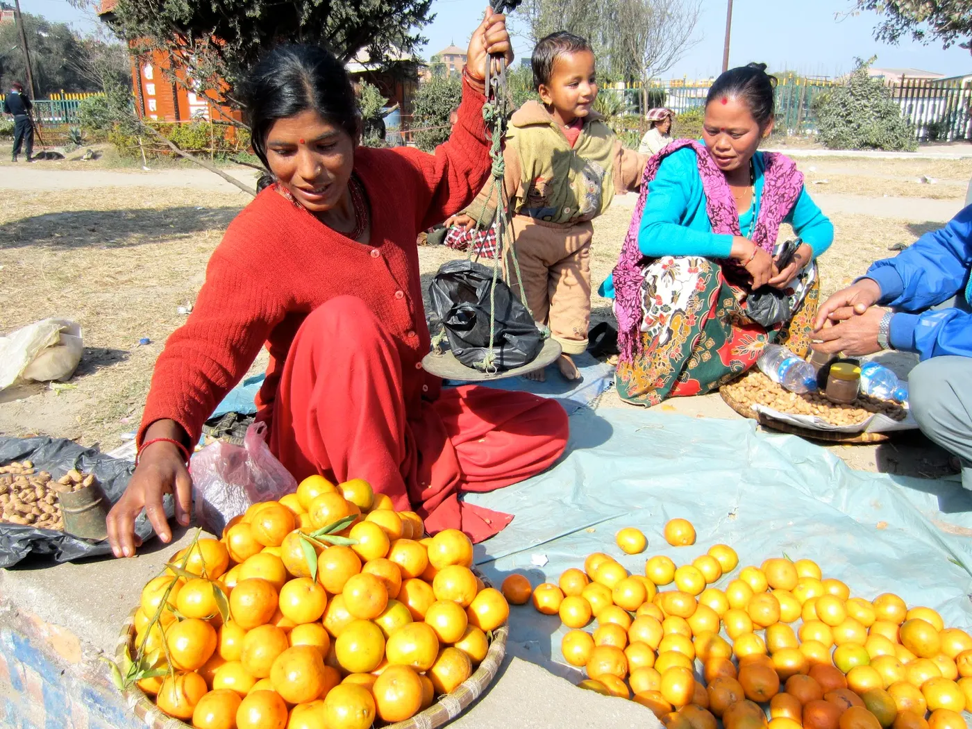 A street vendor selling the most delicious "Pokhara ko suntala" (loose-skin tangerine-mandarins) from Pokhara. So sweet and flavorful and easy to peel and split into segments.
