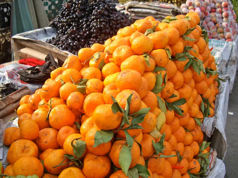 Fresh tangerine for sale