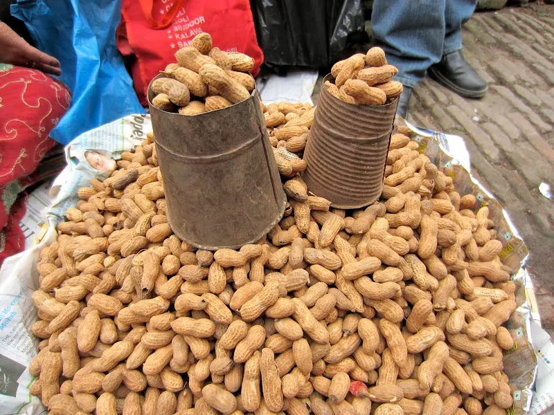The two ladies again requested me to take a close-up picture of their local peanut.