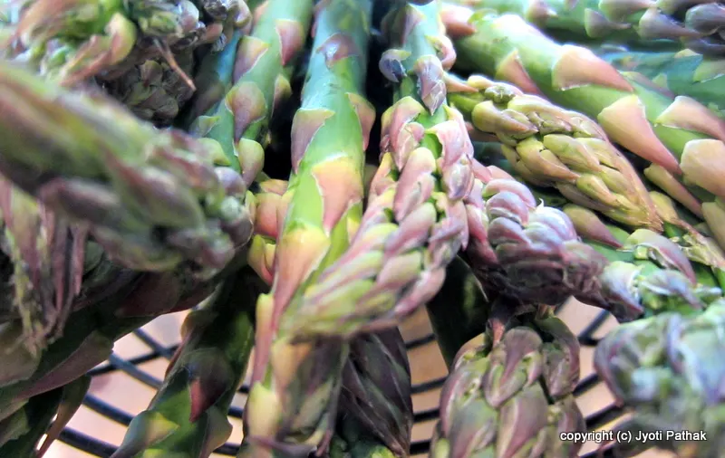 Asparagus - Kurelo (कुरीलो)