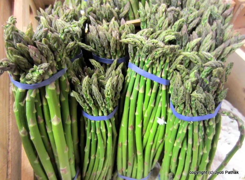 Display of fresh green Asparagus, trimmed into 8-inches long pieces, and neatly tied up - for sale at my local grocery store. The Asparagus spears are standing upright in 1-2 inches of water. This process keeps Asparagus fresh longer.