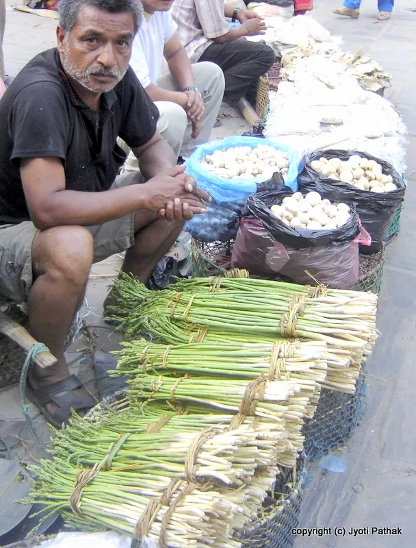 Asparagus - Kurelo (कुरीलो)
