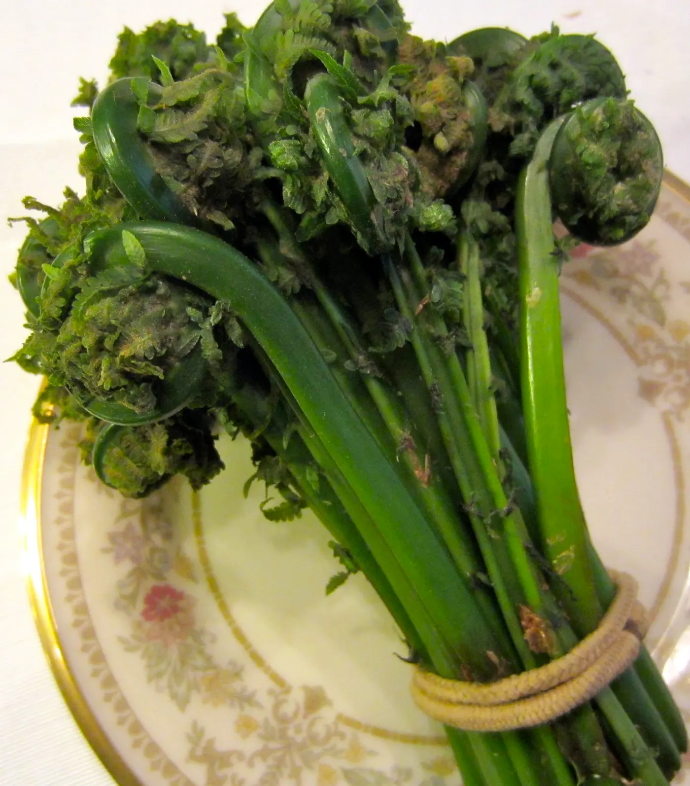 Fiddlehead Fern - Neuro, Niuro (नीयूरो)