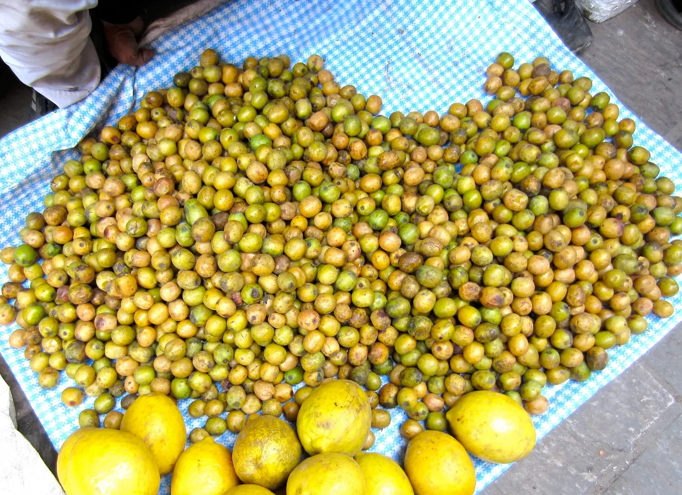 Lapsi - Nepalese Hog Plum