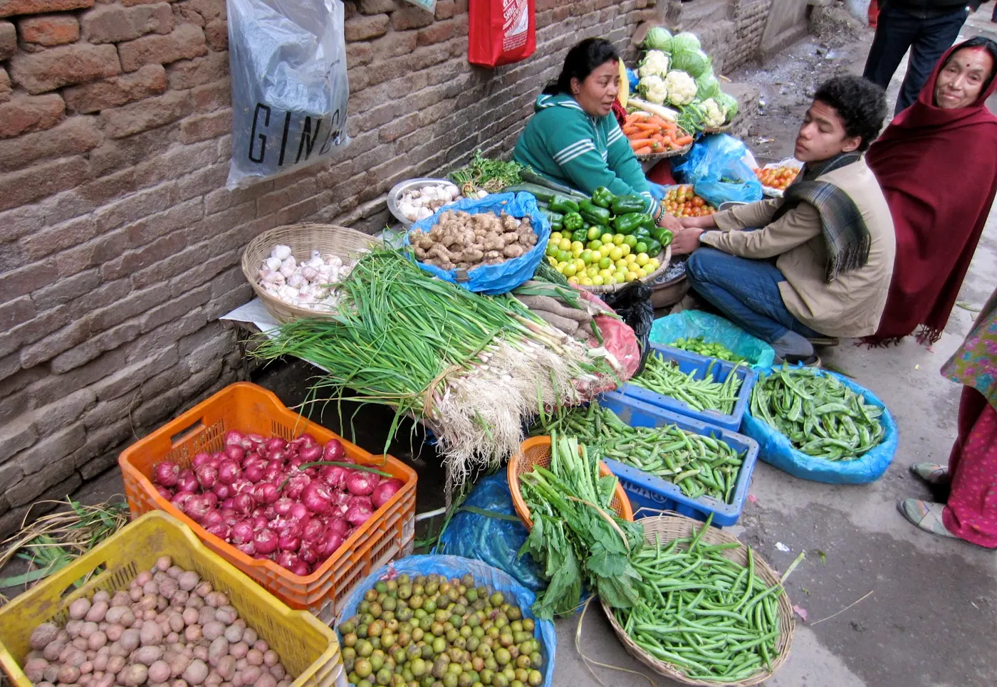 Lapsi - Nepalese Hog Plum