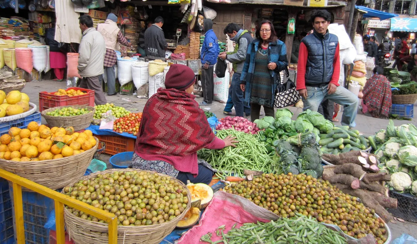 Lapsi - Nepalese Hog Plum