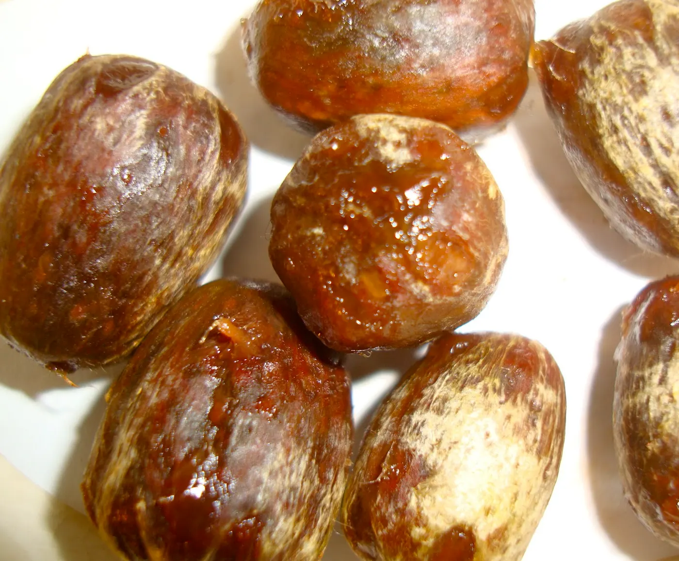 Lapsi - Nepalese Hog Plum
