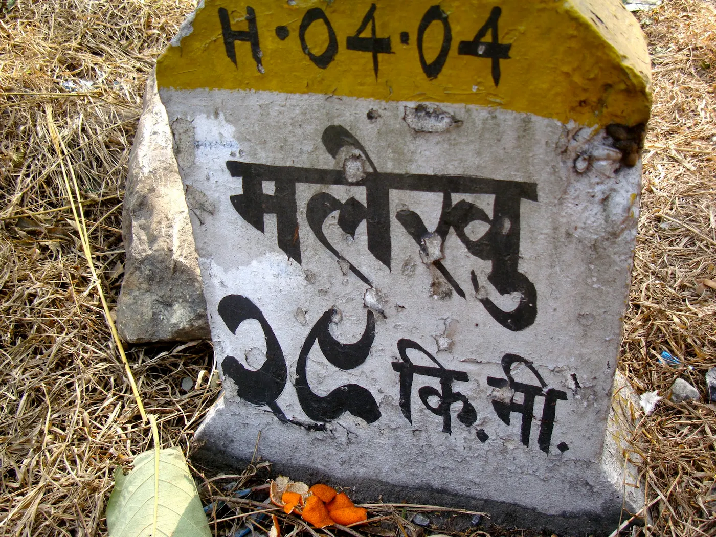 Malekhu ko Maachaa - (मलेखुको माछा)