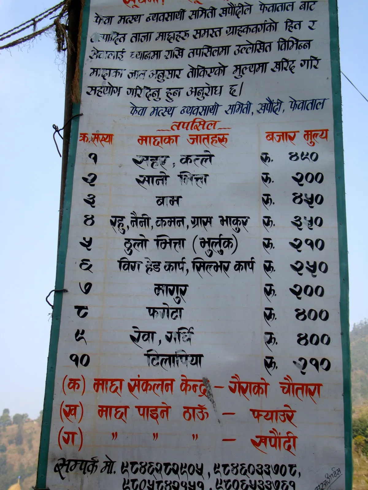 Malekhu ko Maachaa - (मलेखुको माछा)