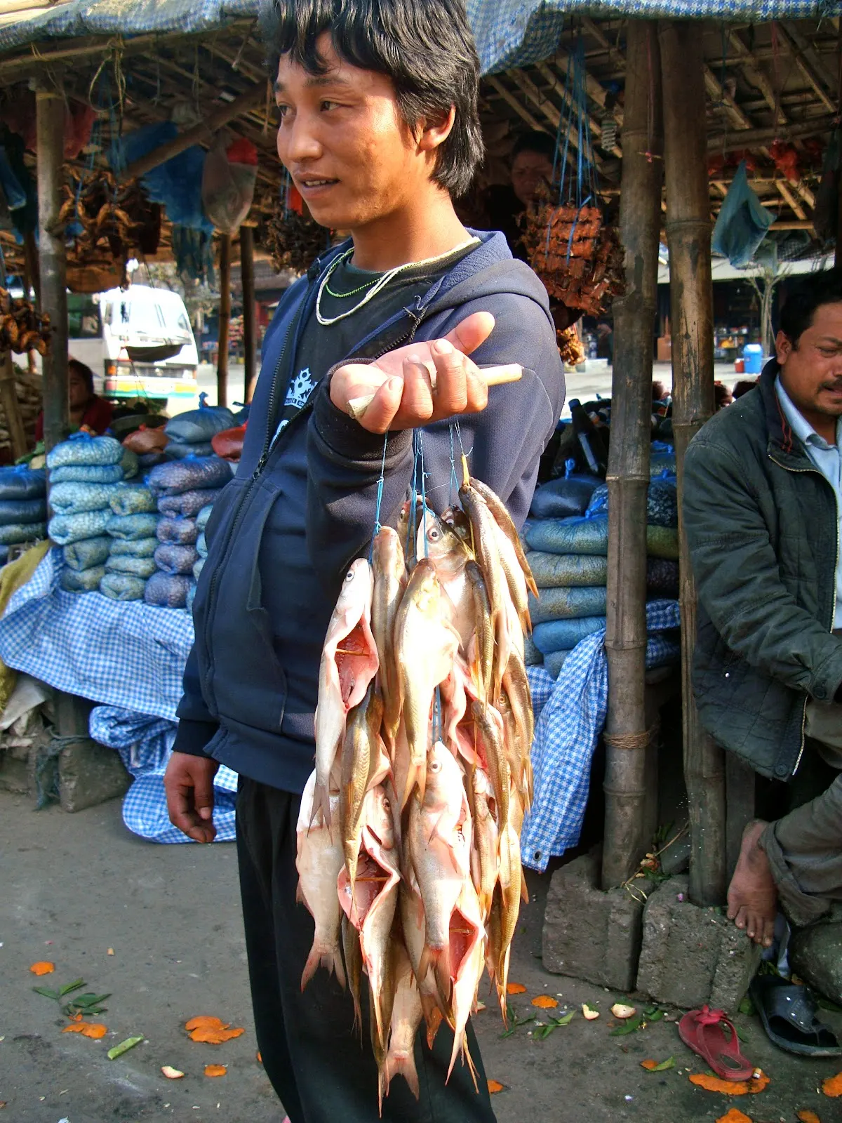 Local boy selling freshly caught fish using the traditional method.