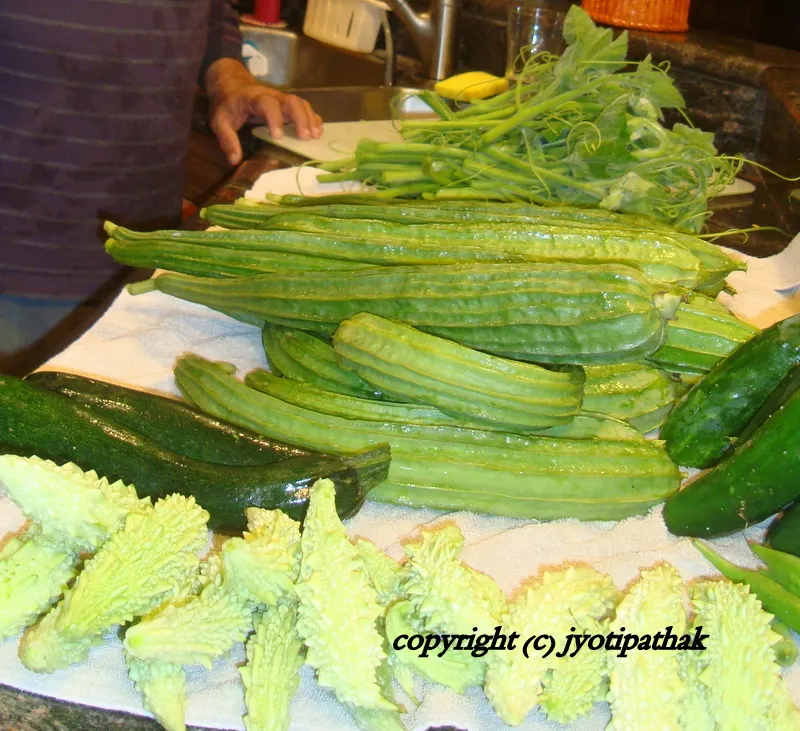 Here is a picture of freshly picked vegetables from my home garden - they are bitter melon (तितो करेला) in the front, zucchini squash (फरसी), cucumber (काँक्रो) and pumpkin vine shoots (फरसी को मुन्टा) in the back.
