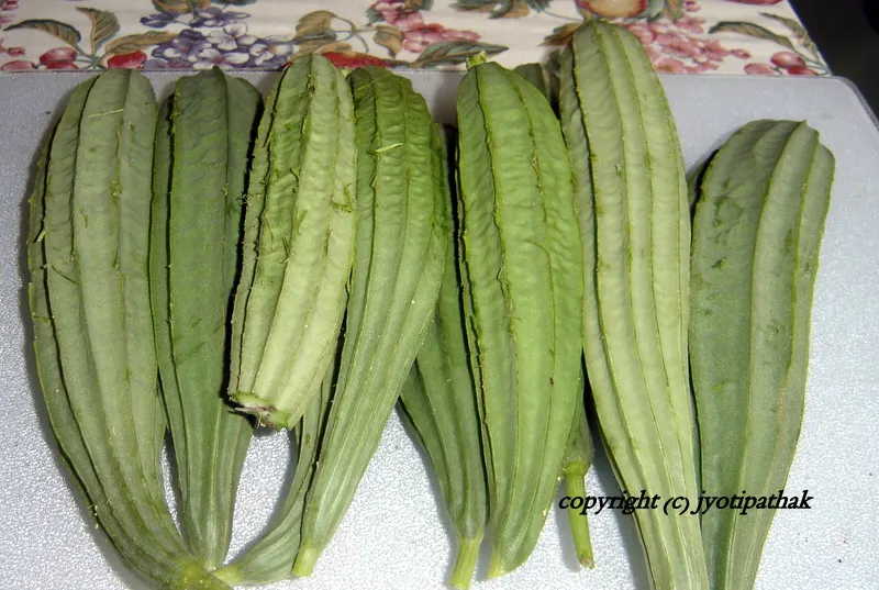 Patee-Ghiraula has a sharply ribbed skin surface. They are dull green colored, cylinder in shape, which may grow more than a foot in length. It is narrow and tapered at the stem-end and becomes wider as it grows.