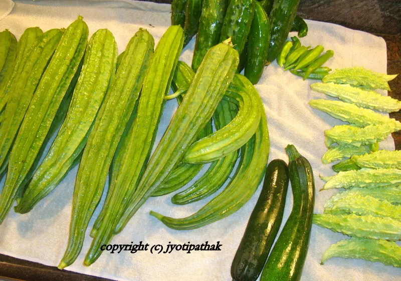 Luffa Gourd - Gheeraula (घीरौला, पाटे घीरौला)