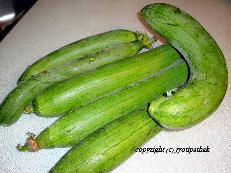 Harvesting Smooth Gourd from my home garden. The young fresh vegetable has a tender skin and easily breaks if not handled properly during harvesting and packing. They are cut from the vine, rather than pulled, to avoid any damage.