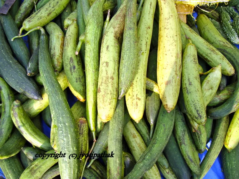 Enjoy Nepal's one of the most delicious Gourd vegetable!