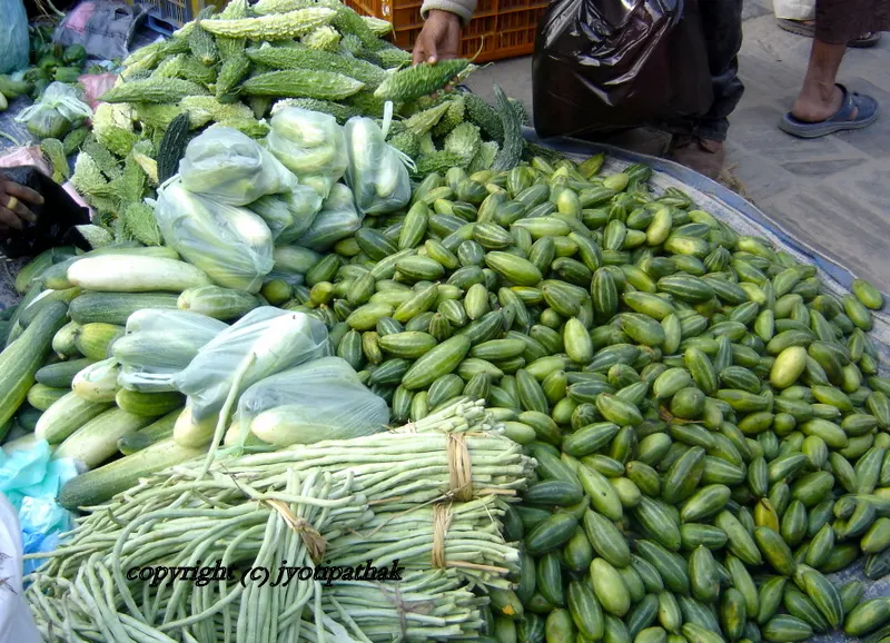 Parvar - परवर - (Pointed Gourd)