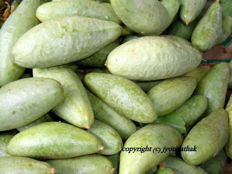 Common name: Pointed Gourd, Parvar (Nepali), Parwar (Hindi), Potol (Bengal, Assam, Orrisa) Botanical name: Trichosanthes dioica Roxb., Cucurbitaceae