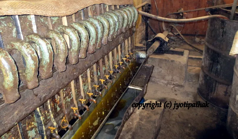 This is one of the simplest way of crushing the seeds directly to extract the oil. It is so much fun to watch how the pressed oil comes out.