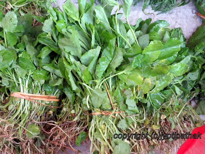 Locally grown Mustard Greens (Tori ko Saag) came from the valley