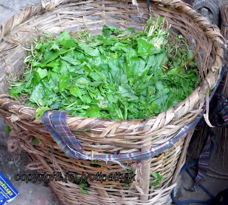 Mustard Greens on the way to the market