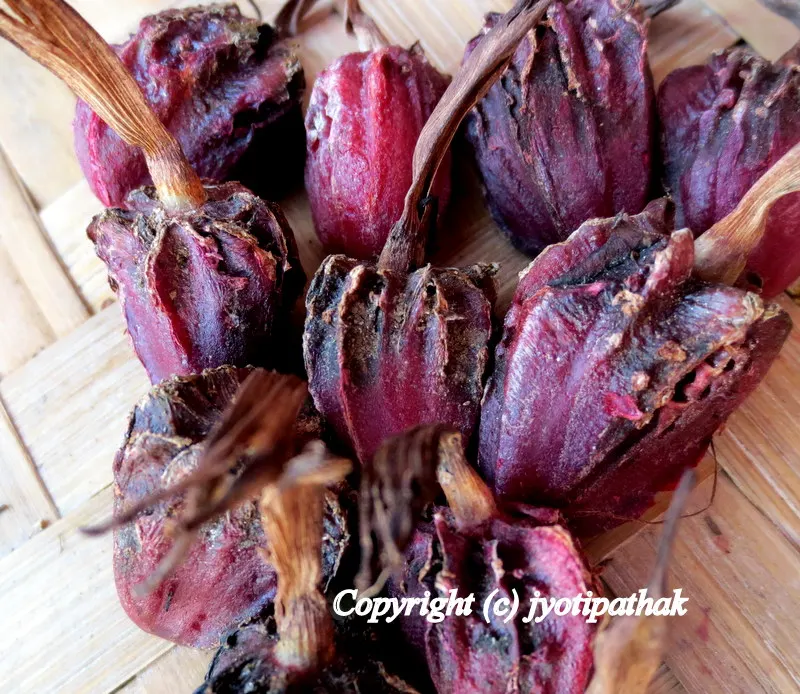 Nepal Cardamom: Highly Prized Spice Crop used both as spice and flavoring agent - Botanical Name: Amomum subulatum Roxb. Family: Zingiberaceae