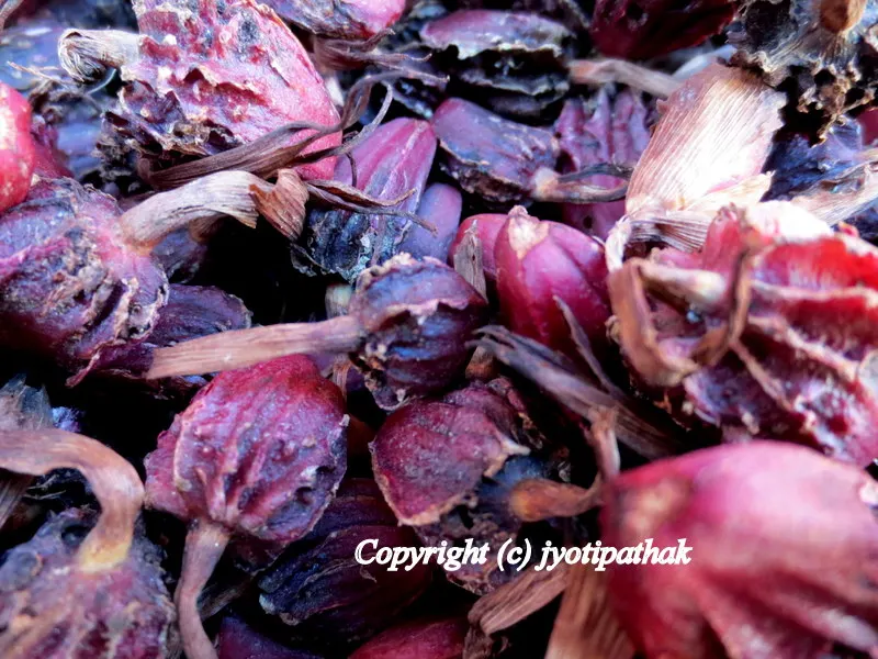Black Cardamom - Alainchi