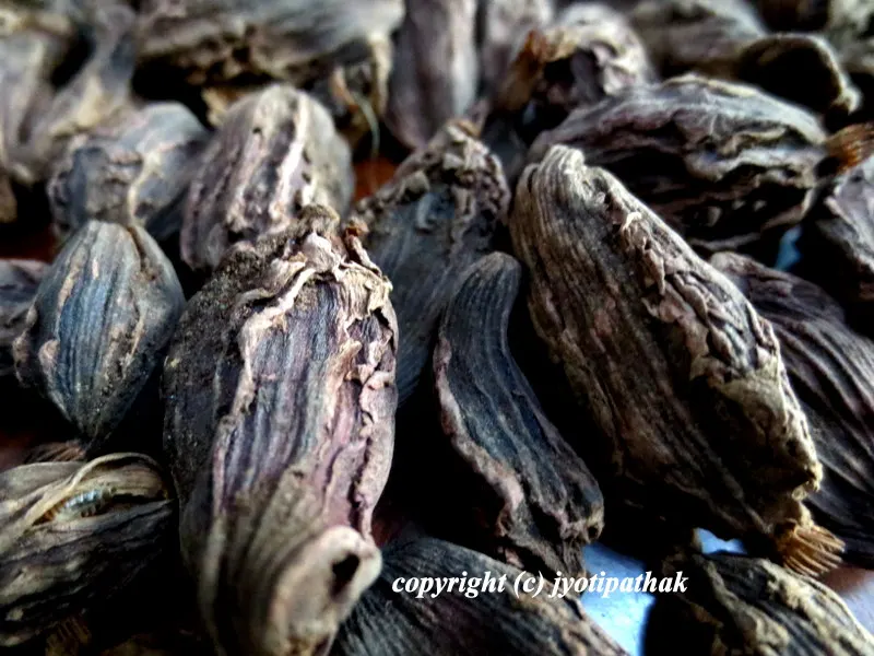 Black Cardamom - Alainchi