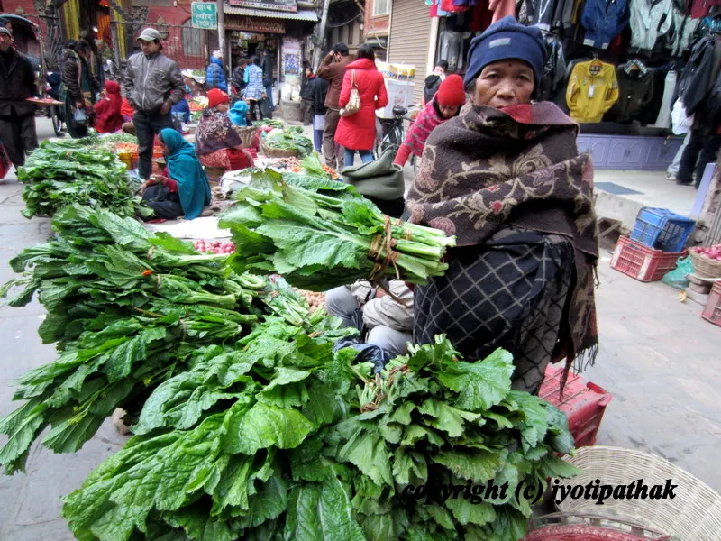 Green Leafy Vegetables - साग-पात हरु - (Part 1)
