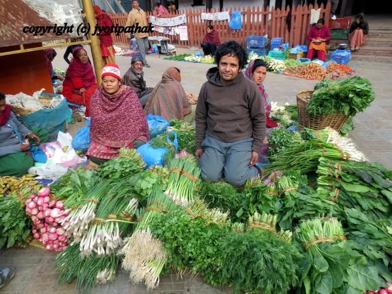 Green Leafy Vegetables - साग-पात हरु - (Part 1)