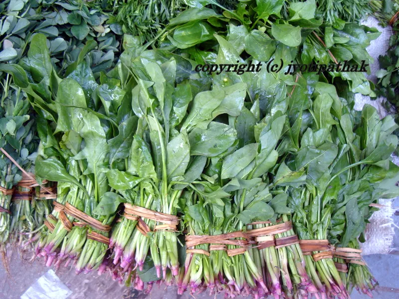 Green Leafy Vegetables - साग-पात हरु - (Part 1)