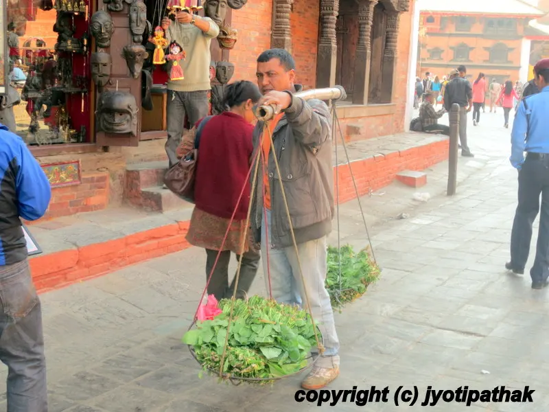 Green Leafy Vegetables - साग-पात हरु - (Part 1)