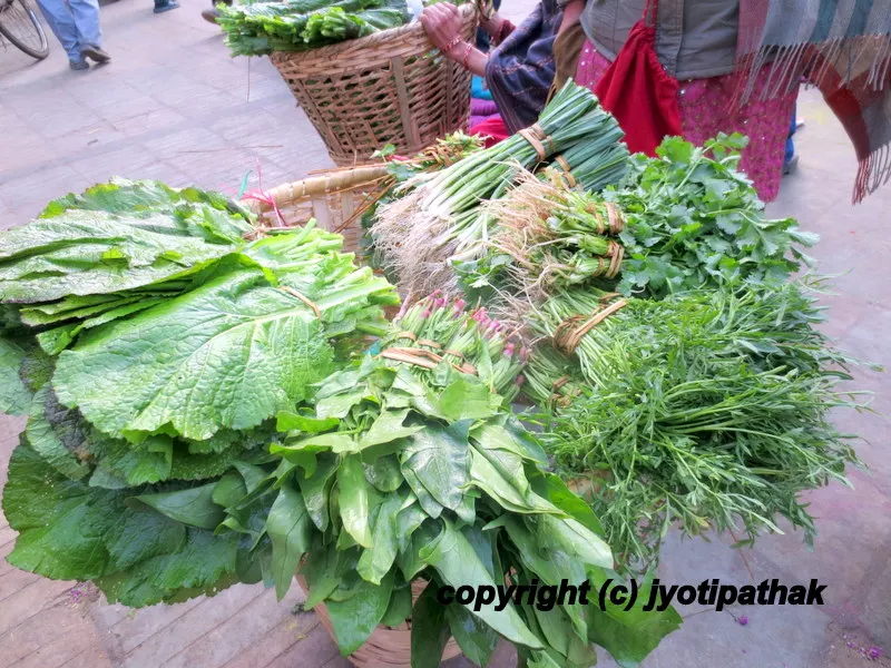 Wide selection of seasonal greens - everything you want to purchase is right in this Doko (hand-made bamboo basket), from left - mustard greens, spinach, garden cress, fresh coriander (cilantro) and green onions.