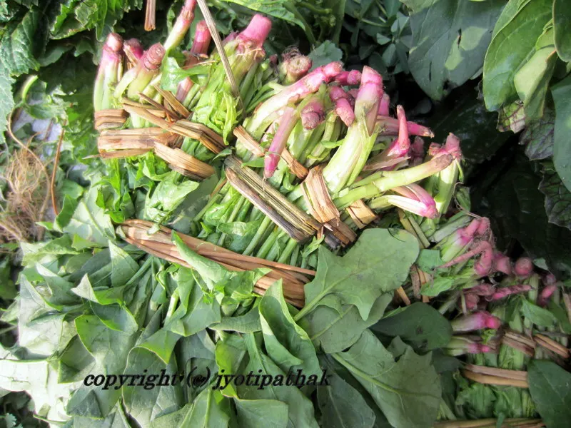 Green Leafy Vegetables - साग-पात हरु - (Part 1)