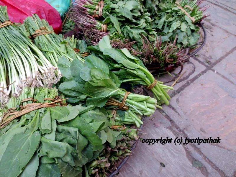 Green Leafy Vegetables - साग-पात हरु - (Part 1)