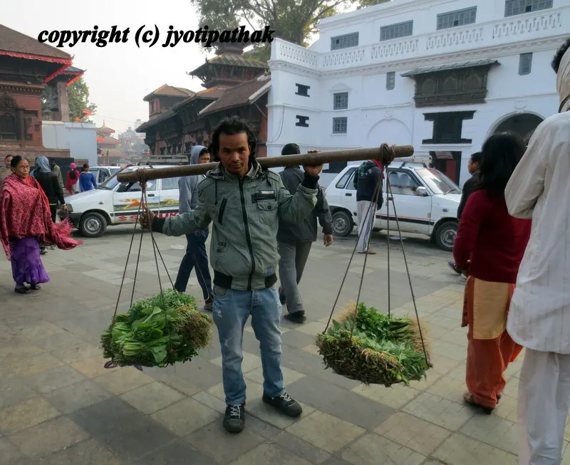 Green Leafy Vegetables - साग-पात हरु - (Part 1)